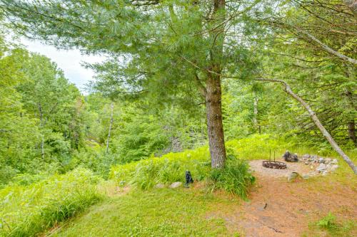 a tree in the middle of a forest at Handcrafted Log Home on River Near Crystal Mtn in Thompsonville