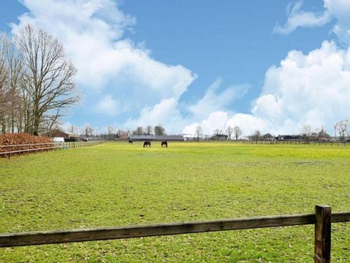 two horses grazing in a large field with a fence at Zonnestroom in Meijel