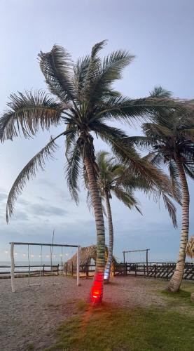 two palm trees with a red light under them on a beach at Cabaña Las Tres Palmas in San Bernardo del Viento in San Bernardo del Viento