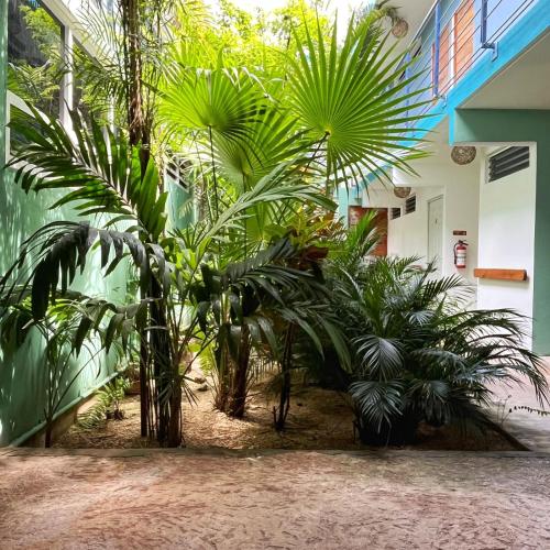 a group of palm trees in front of a building at Gran Jaguar Hotel in Bacalar