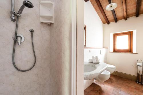 a bathroom with a shower and a toilet and a sink at Ripa D'Era in Capannoli