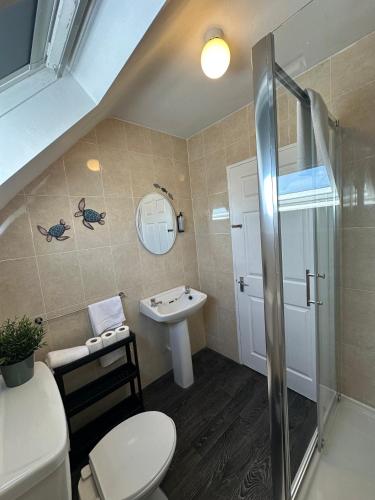 a bathroom with a toilet and a sink at Newcastle Townhouse in Galway