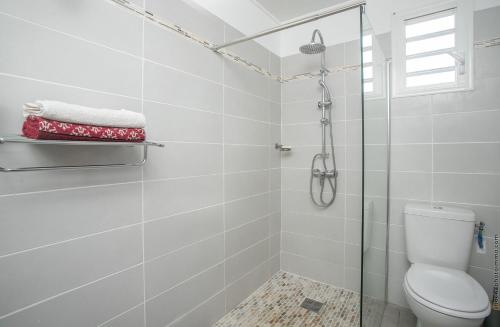a bathroom with a shower and a toilet at Appartement Grenade, Idéal Famille, Jardin Privatif, Piscine in Abondance