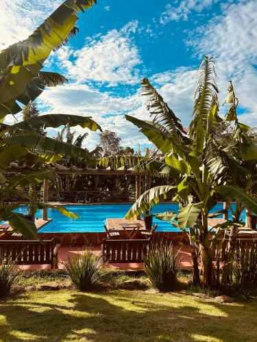 a resort with a pool and a palm tree at Fazenda Brotas SP in Brotas