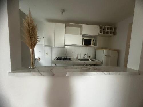 Η κουζίνα ή μικρή κουζίνα στο Apartamento por temporada 1, 2 ou 3 meses