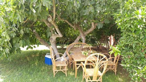 Κήπος έξω από το Villa Dayet Roumi House