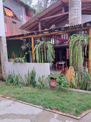 a building with plants in the front of it at Hostal Moai in Montañita