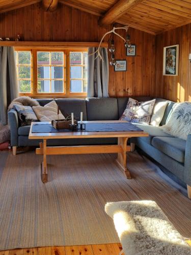 a living room with a couch and a coffee table at Traditional Family Cabin Near Rabalen in Bagn
