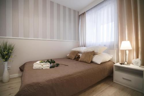 ジェシュフにあるApartament Centrum Rzeszówのベッドルーム1室(タオル付きのベッド1台、窓付)