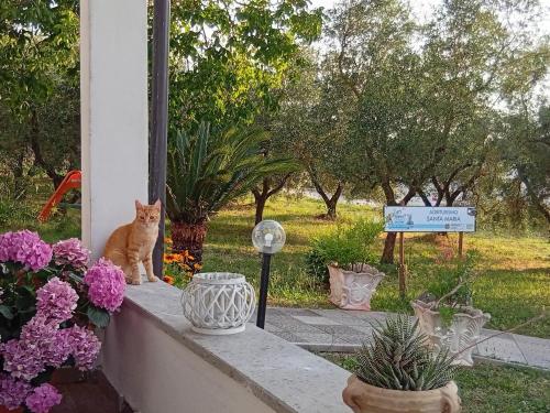 Gallery image of Agriturismo Santa Maria in Marta