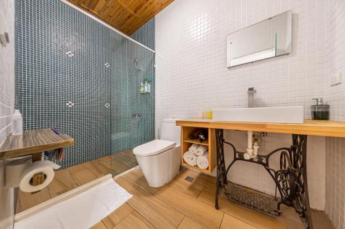 a bathroom with a toilet and a sink and a shower at IsShoNi house in Tainan