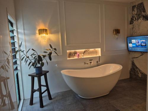 a bathroom with a tub and a tv and a plant at RESIDENTIAL 4 BEDROOM House in Coffs Harbour