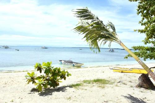 a palm tree and a boat on the beach at Malapatel in Logon