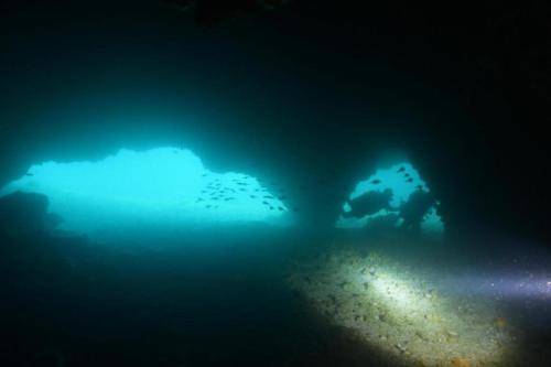 an underwater picture of a cave with blue lights at Malapatel in Logon