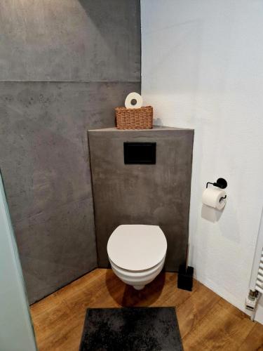 a bathroom with a toilet and a roll of toilet paper at Zum schwarzen Hirsch in Dalaas