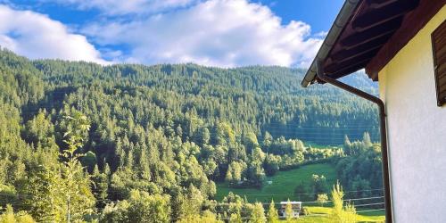 a view of a forest of trees from a house at Zum schwarzen Hirsch in Dalaas