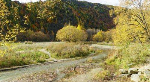 a dirt road in the middle of a field with trees at The Arrow Hotel in Arrowtown