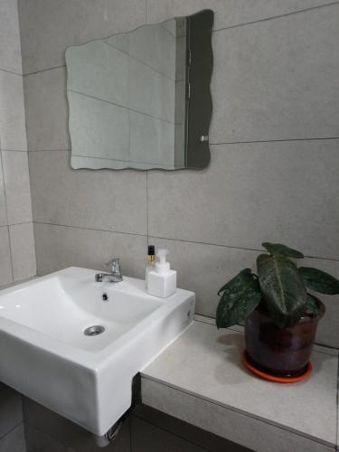 a bathroom with a sink and a mirror and a potted plant at BangiSky Homestay, Quite, Strategic & Convinient in Bandar Baru Bangi