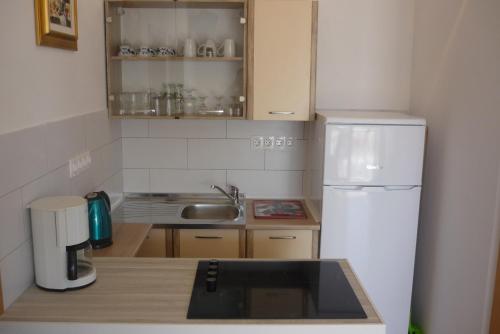 a small kitchen with a white refrigerator and a sink at Apartment Seline in Seline