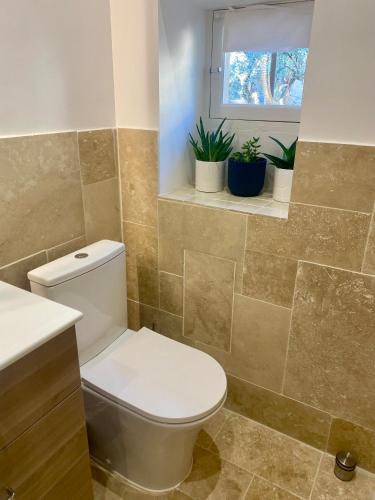 La salle de bains est pourvue de toilettes, d'une fenêtre et de plantes. dans l'établissement Le patio de Montaury, à Nîmes