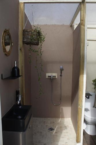 ein Bad mit einer Dusche, einem Waschbecken und einem WC in der Unterkunft Péniche Espoir bulle in Avignon