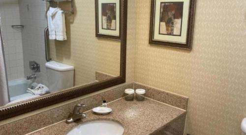 Radisson Hotel Austin - Universityにあるバスルーム