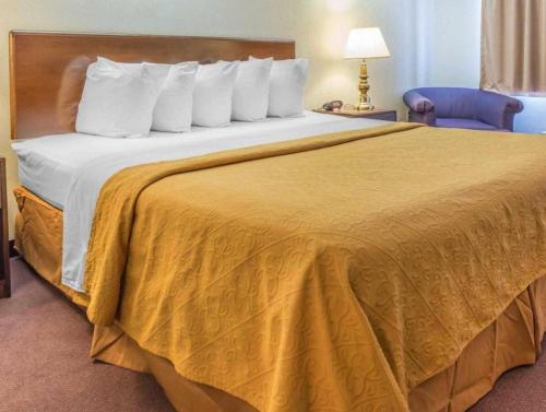 Postel nebo postele na pokoji v ubytování Quality Inn Royle