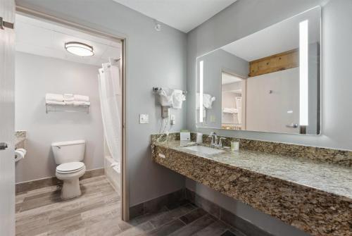 a bathroom with a sink and a toilet at AmericInn by Wyndham Wisconsin Dells in Wisconsin Dells