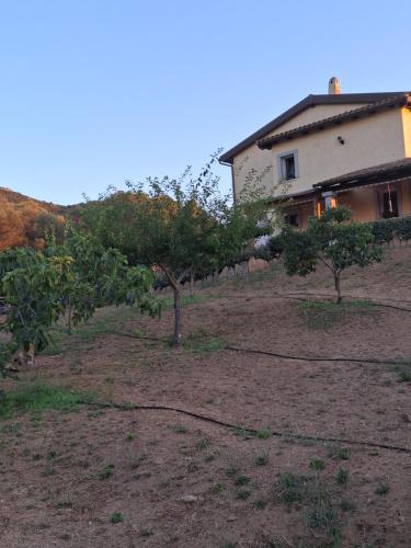 Κήπος έξω από το B&B Sa Soliana