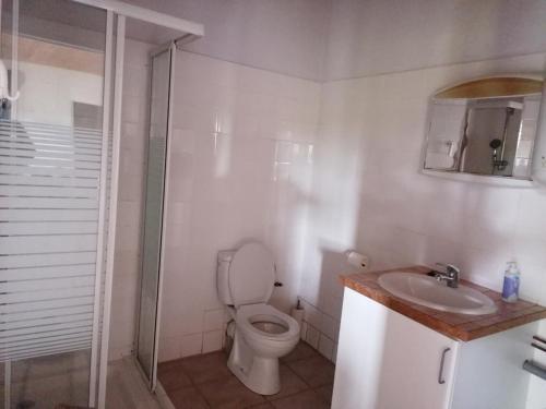 une salle de bain avec toilettes, douche et lavabo dans l'établissement Gîte en pleine nature proche du lac de la Gimone, à Saint-Blancard