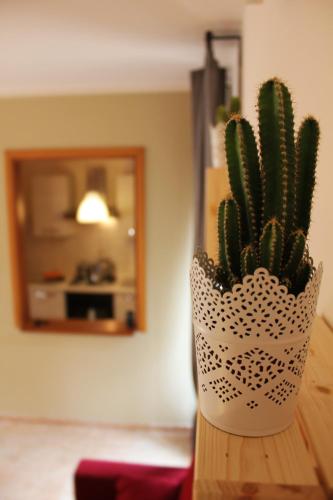a cactus in a pot on a table in a room at Casa P&G in Niscemi