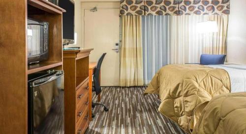 a hotel room with a bed and a television at Lifestyle Inn Cedar Falls in Cedar Falls