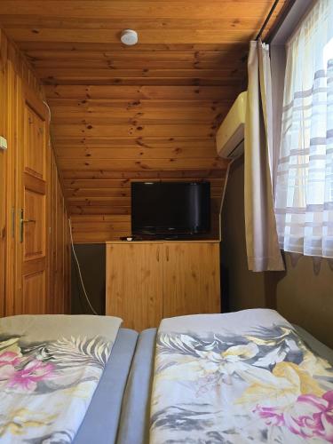 a bedroom with two beds and a tv in a room at Adler vendégház horgász nyaraló in Gyomaendrőd
