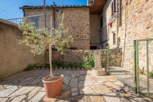 a potted tree in a pot next to a building at La Casetta Nei Borghi Volterrani in Volterra
