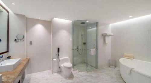 a bathroom with a shower and a toilet and a sink at Northwest Petroleum Hotel in Ürümqi