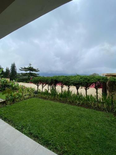 Bedugul Lake View Innにある庭