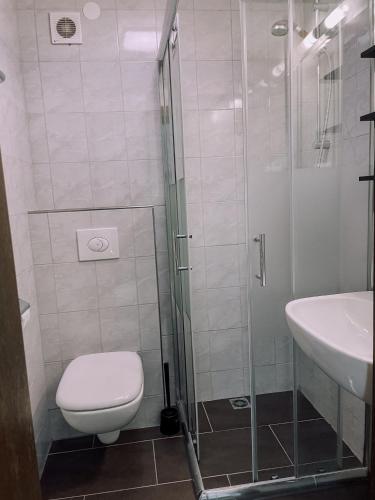a bathroom with a shower and a toilet and a sink at Das Luis in Altenmarkt im Pongau