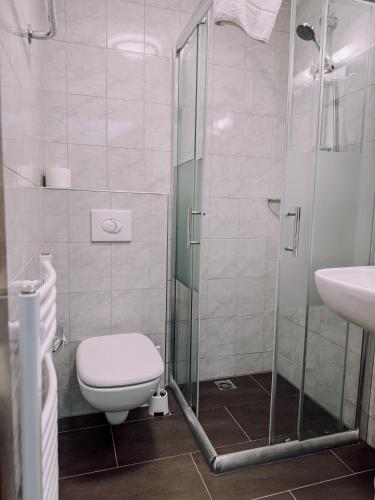 a bathroom with a shower and a toilet and a sink at Das Luis in Altenmarkt im Pongau