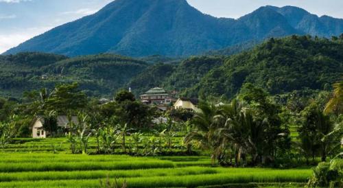 a village in a field with mountains in the background at Amaris Hotel Pakuan Bogor in Bogor