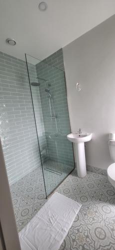 a bathroom with a shower and a sink at Orchid Mews in Ballynagore