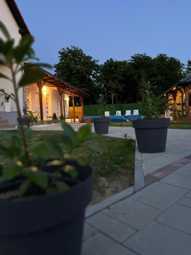 Un jardín fuera de Paradise