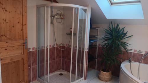 a shower with a glass door in a bathroom at Chalet Risoul jusqu'à 8 personnes in Risoul