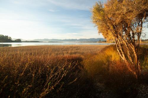 a field of tall grass next to a body of water at The Apple Pickers' Cottages in Mapua