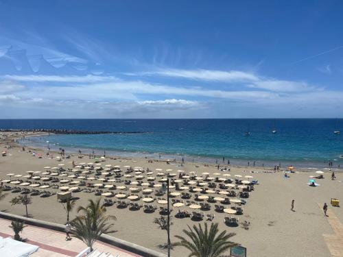 CORNELIAS HOME Estudio 5B