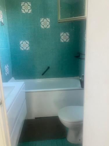 La salle de bains est pourvue de toilettes blanches et d'un mur vert. dans l'établissement Villeneuve loubet plage, studio vue mer, à Villeneuve-Loubet