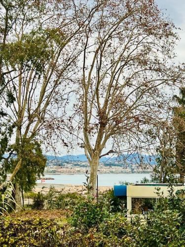 un banc à côté d'un arbre et d'un lac dans l'établissement Villeneuve loubet plage, studio vue mer, à Villeneuve-Loubet