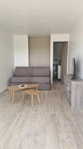 Una sala de estar con un sofá y una mesa de café. en Appartement avec jaccuzzi privatif en RDC proche via rhona, en Charmes-sur-Rhône