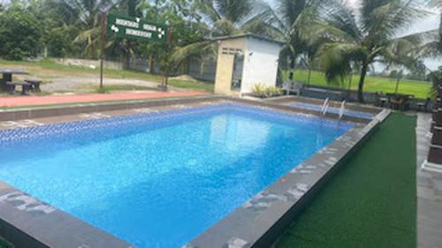 Kampong DekehにあるCapital O 91180 Mentari Senja Homestayの青い水とヤシの木が茂る大型スイミングプール