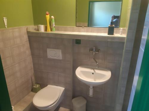 a bathroom with a toilet and a sink at Apartmány Kroměřížsko in Hulín