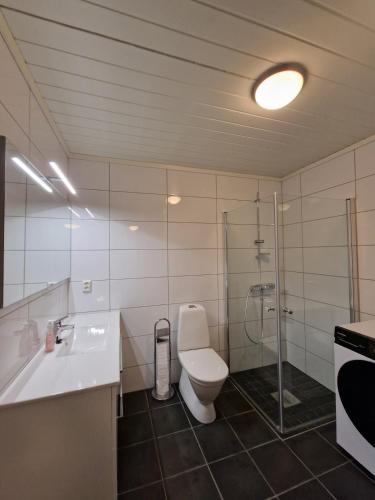 a bathroom with a toilet and a sink and a shower at Apartment in Voss - Tråstølen in Skulestadmo